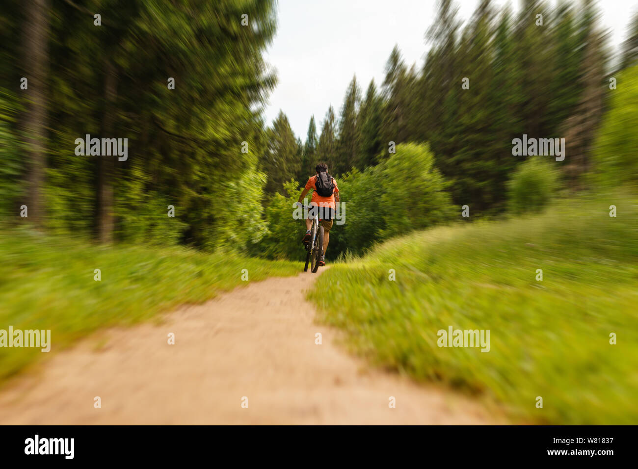 cyclist with a backpack on a mountain bike rides along a forest path Stock Photo