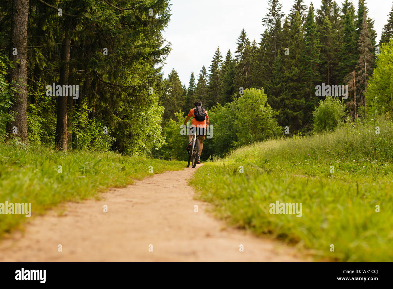 cyclist with a backpack on a mountain bike rides along a forest path Stock Photo