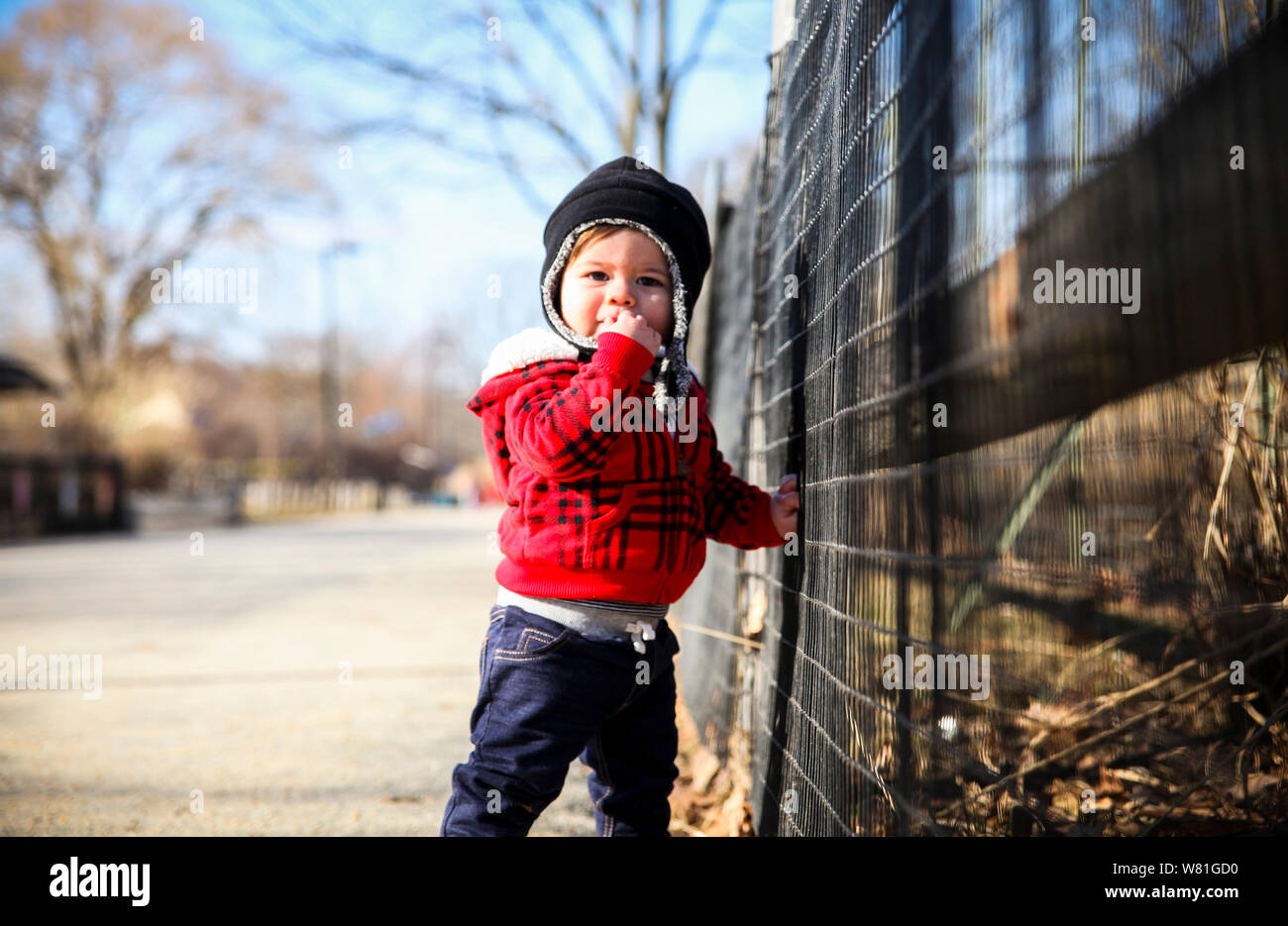 Three-Quarter Length Portrait of Young Boy Standing next to Fence Stock Photo