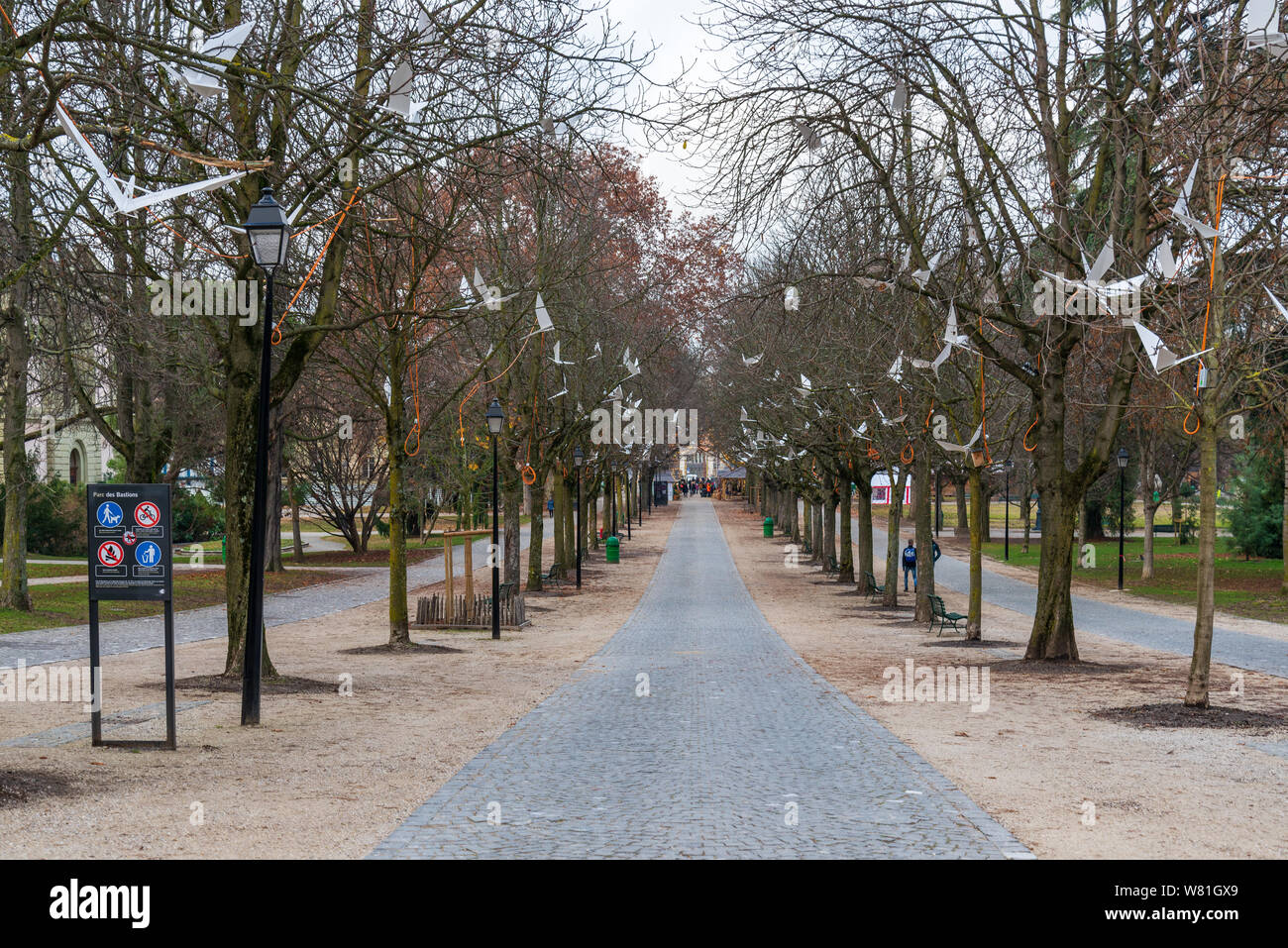 Walkway and line of trees without leaves at Palais Eynard and Promenade des Bastions, large green park, in Geneva, Switzerland in winter season. Stock Photo