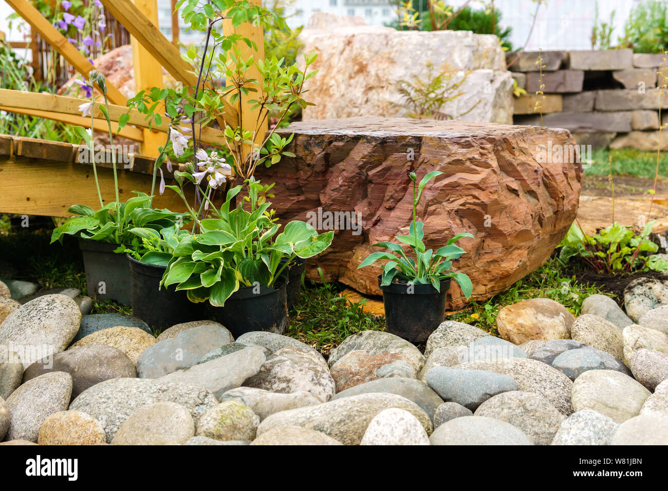 Ornamental grass rockery garden hi-res stock photography and images - Alamy