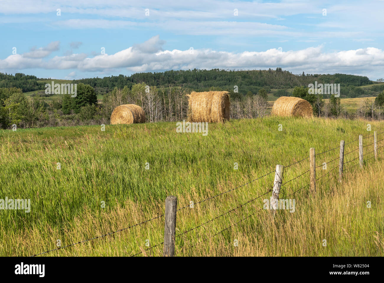 Round Hay Bales near Cochrane, Alberta,