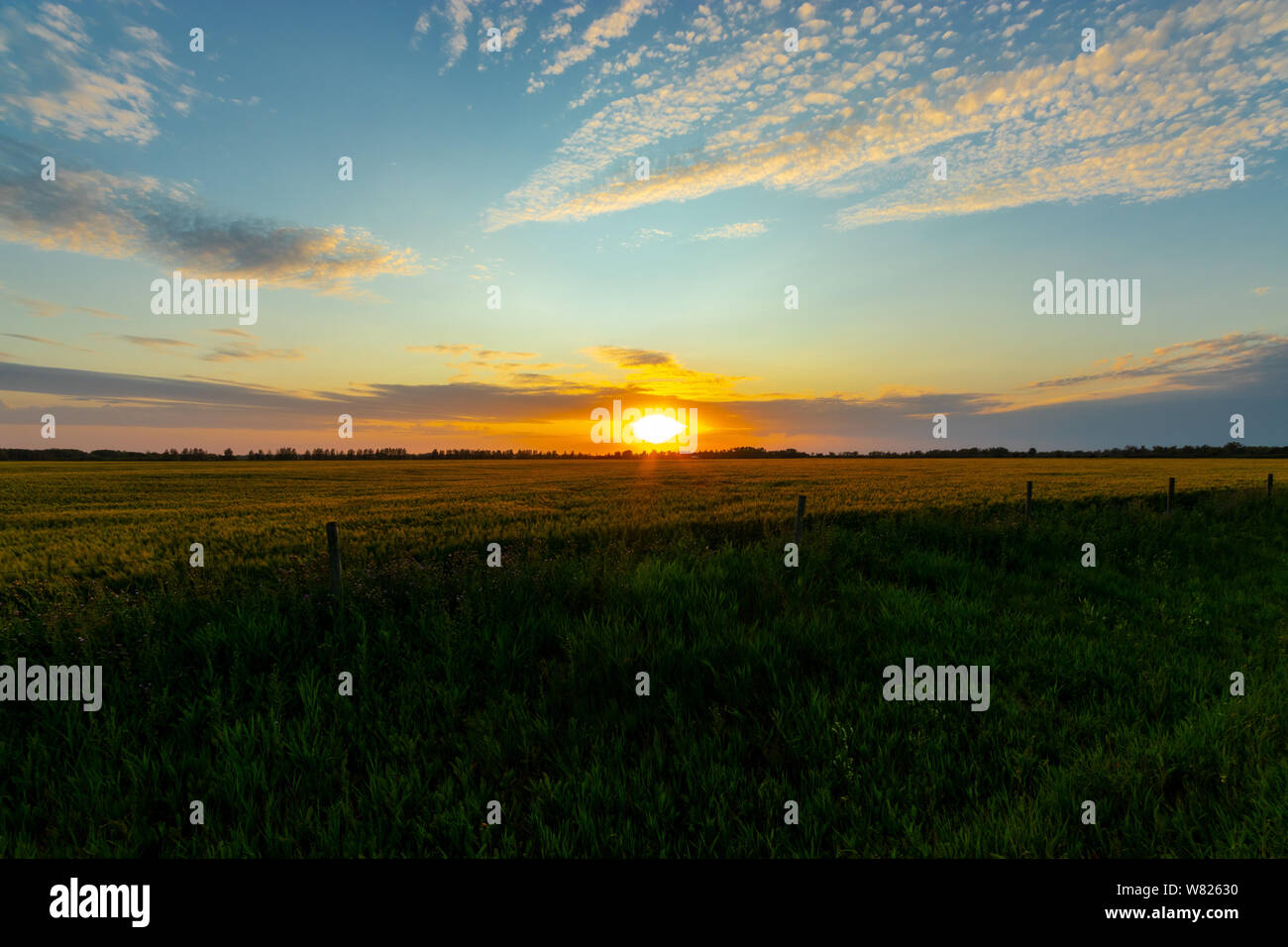 Summer sunset on the Saskatchewan prairies in western Canada Stock