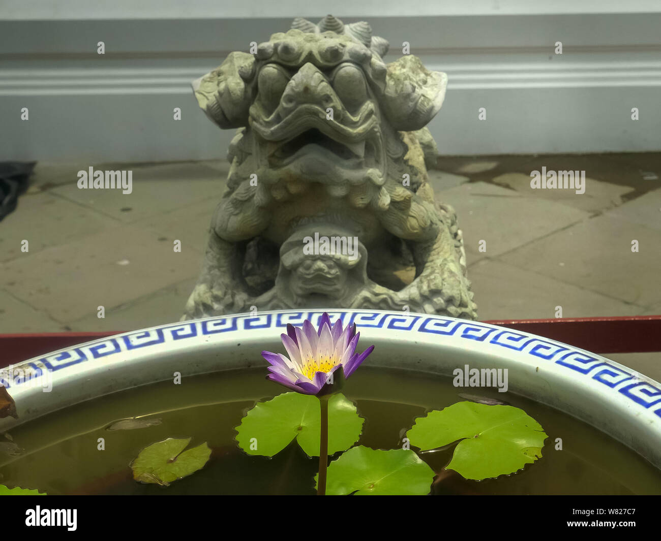 chinese lion statue and water lily in a pot at wat arun temple, bangkok Stock Photo