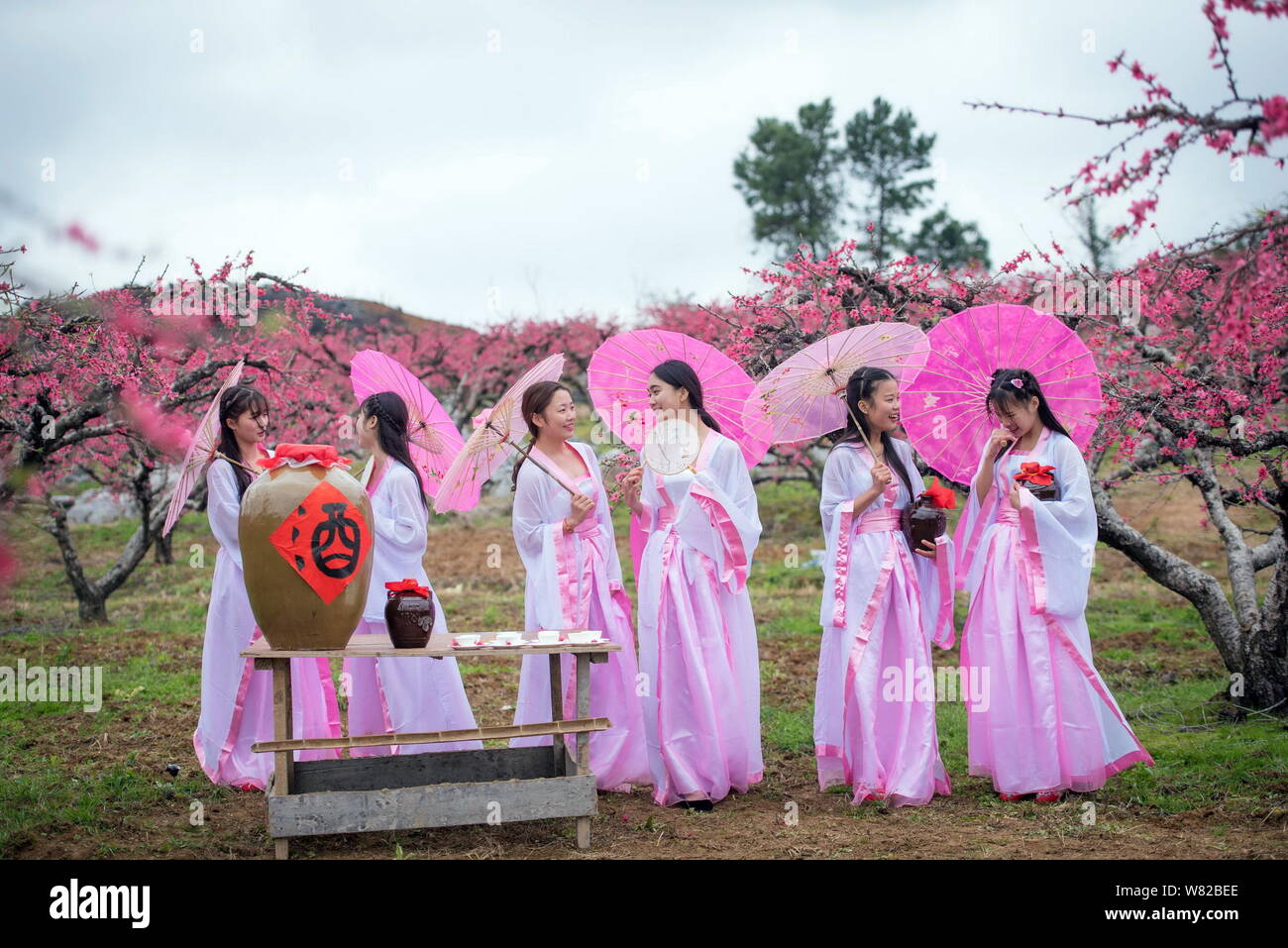 Students dressed in Chinese Han costumes attend an event to mark the Peach  Blossom Festival in Lianzhou city, south China's Guangdong province, 25 Feb  Stock Photo - Alamy