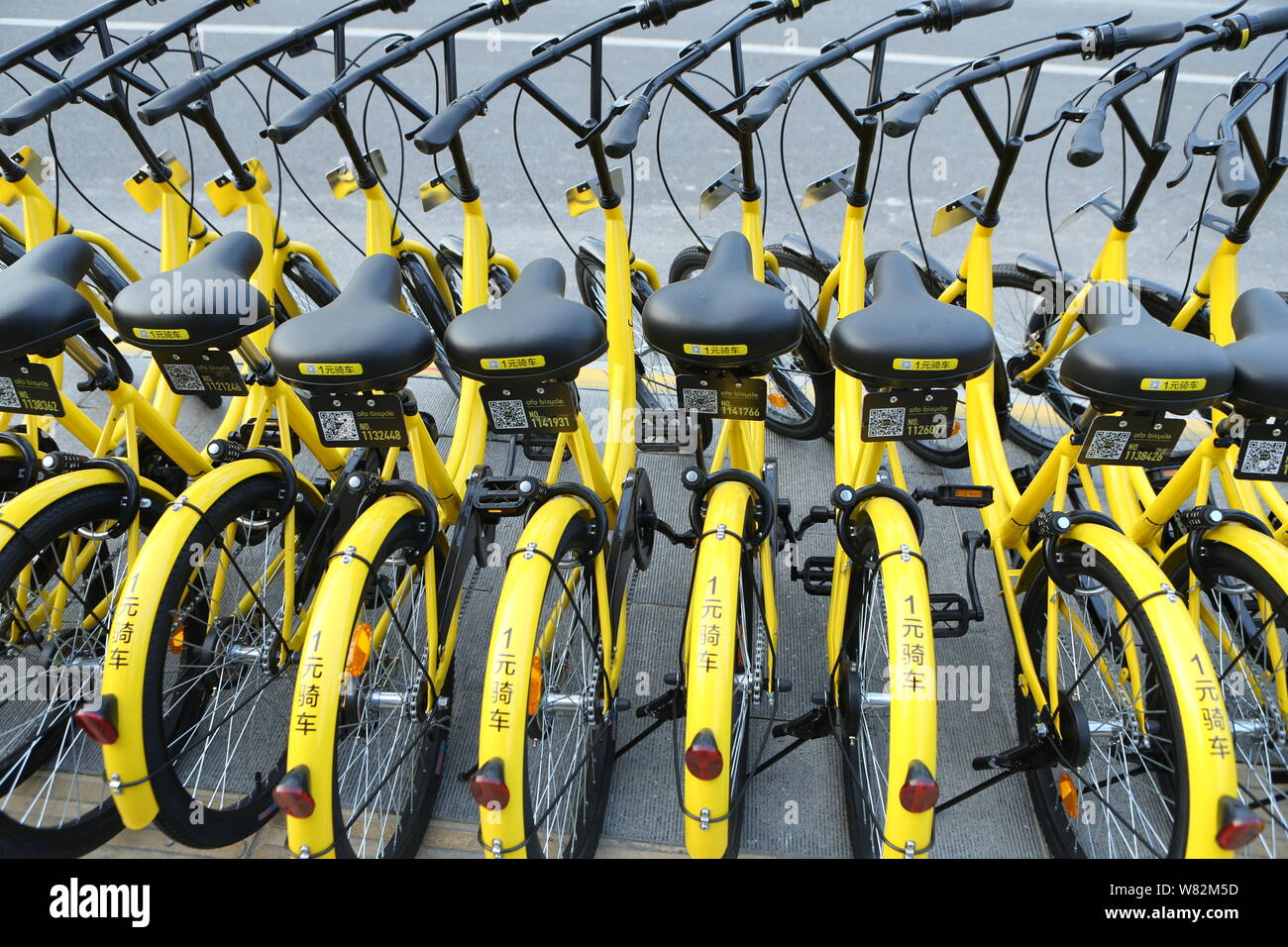 mobike and ofo