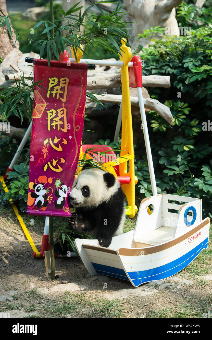 One Of The Twin Giant Panda Cubs Jianjian And Kangkang Plays