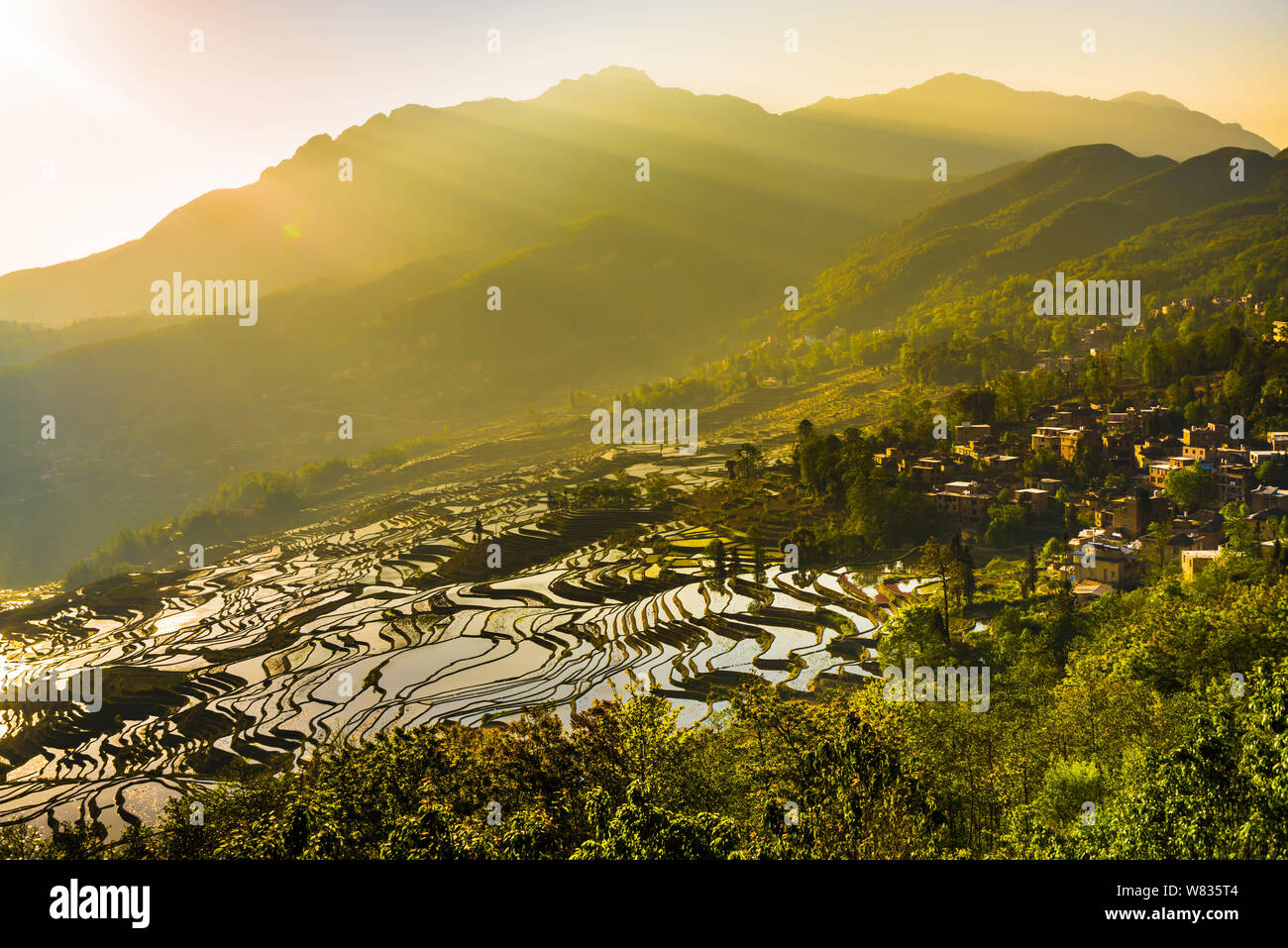 Landscape of terraced rice fields of the Honghe Hani Rice Terraces, one ...