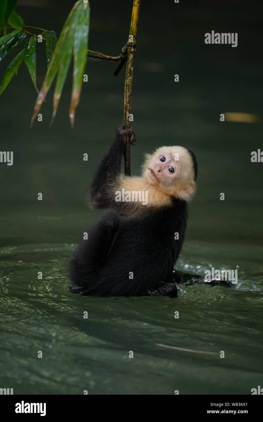 Bestnatureshots hi-res stock photography and images - Alamy