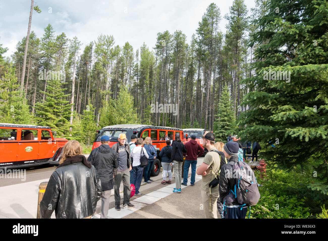 Visitors to the Glacier National Park awaiting the Red Bus Tour at the Apgar visitor center bus stop Stock Photo