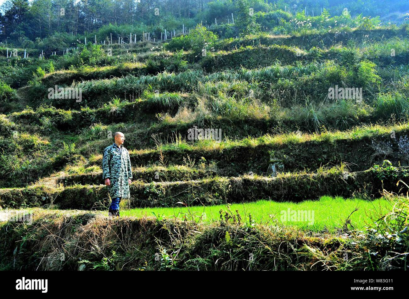 Chinese cattleman Zeng Bo, a doctorate holder in animal nutrition from Chinese Academy of Sciences, inspects his cattle farm in Daxiawei village, Lian Stock Photo