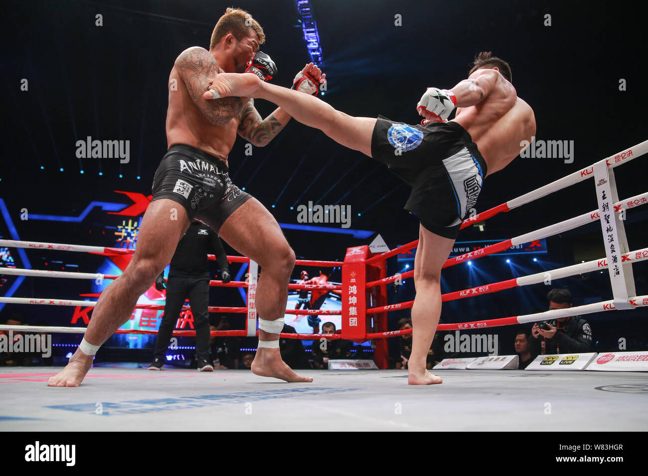 Mma fights hi-res stock photography and images