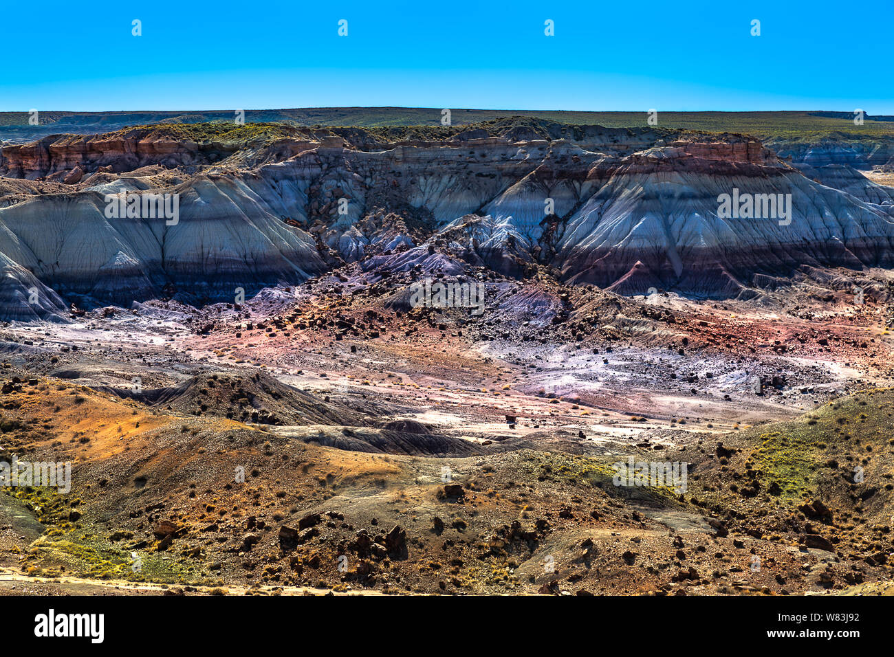 Petrified Forest National Park Stock Photo