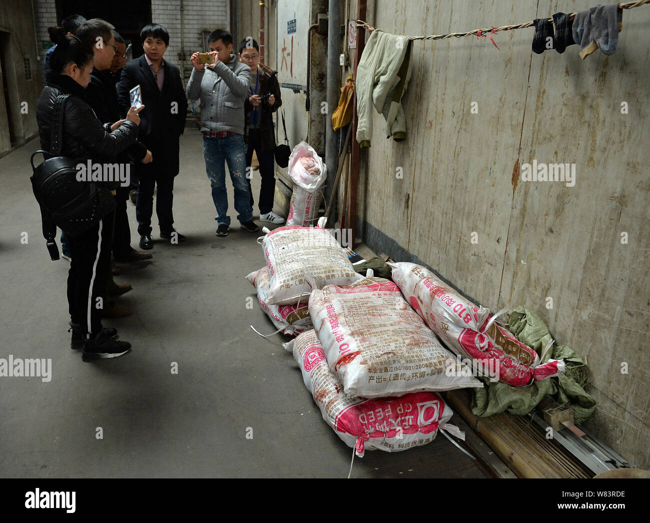Bags of frozen cats butchered and to be sold to restaurants by Chinese 'animal lover' Huang Fuping are pictured in his slaughterhouse in Shunjiang vil Stock Photo