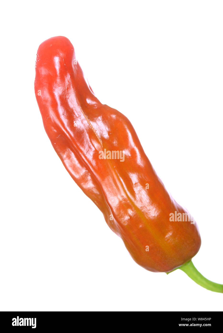 Red banana pepper isolated on white Stock Photo Alamy
