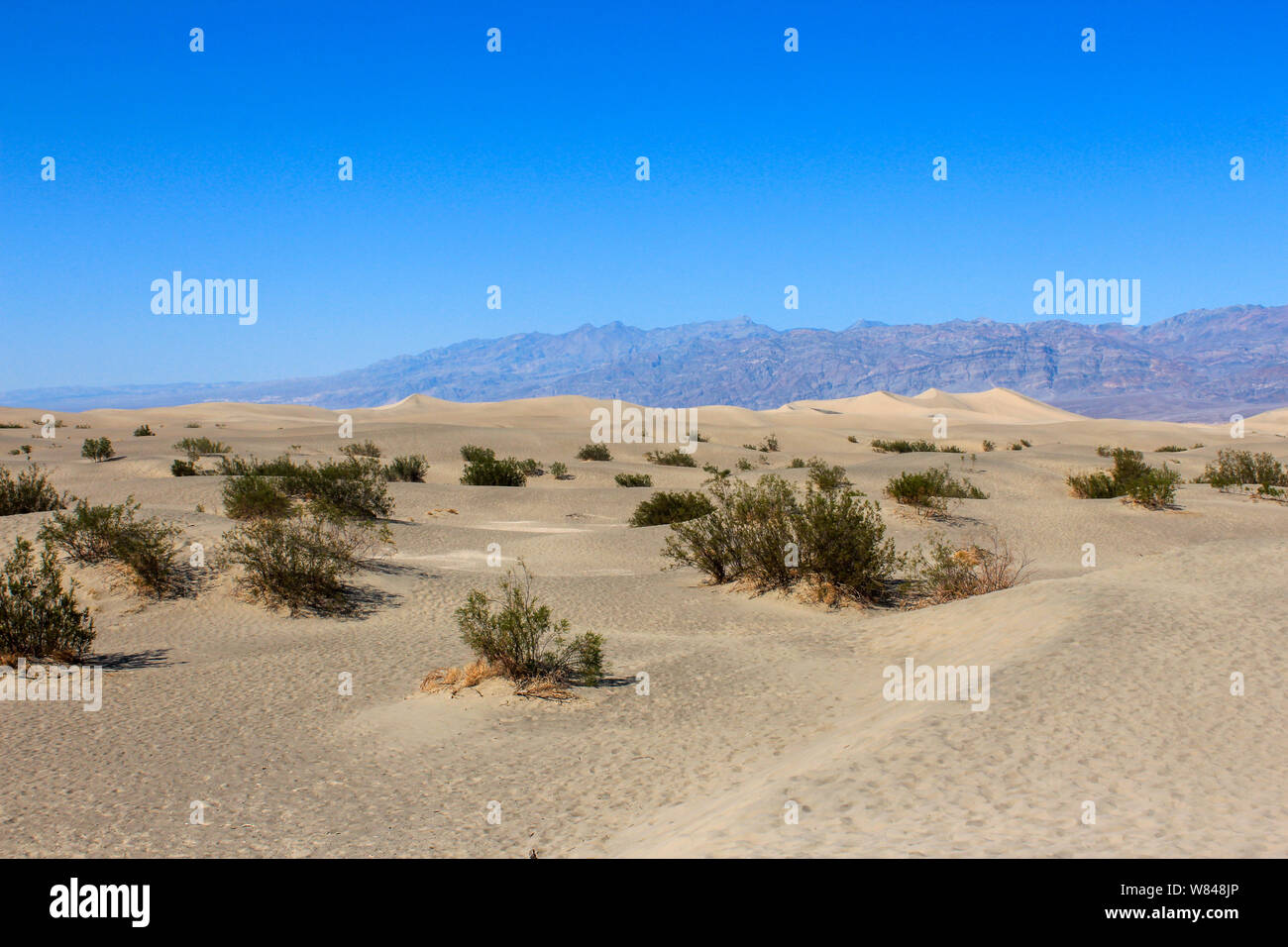Mesquite Flat Sand Dunes, Death Valley National Park, California, USA