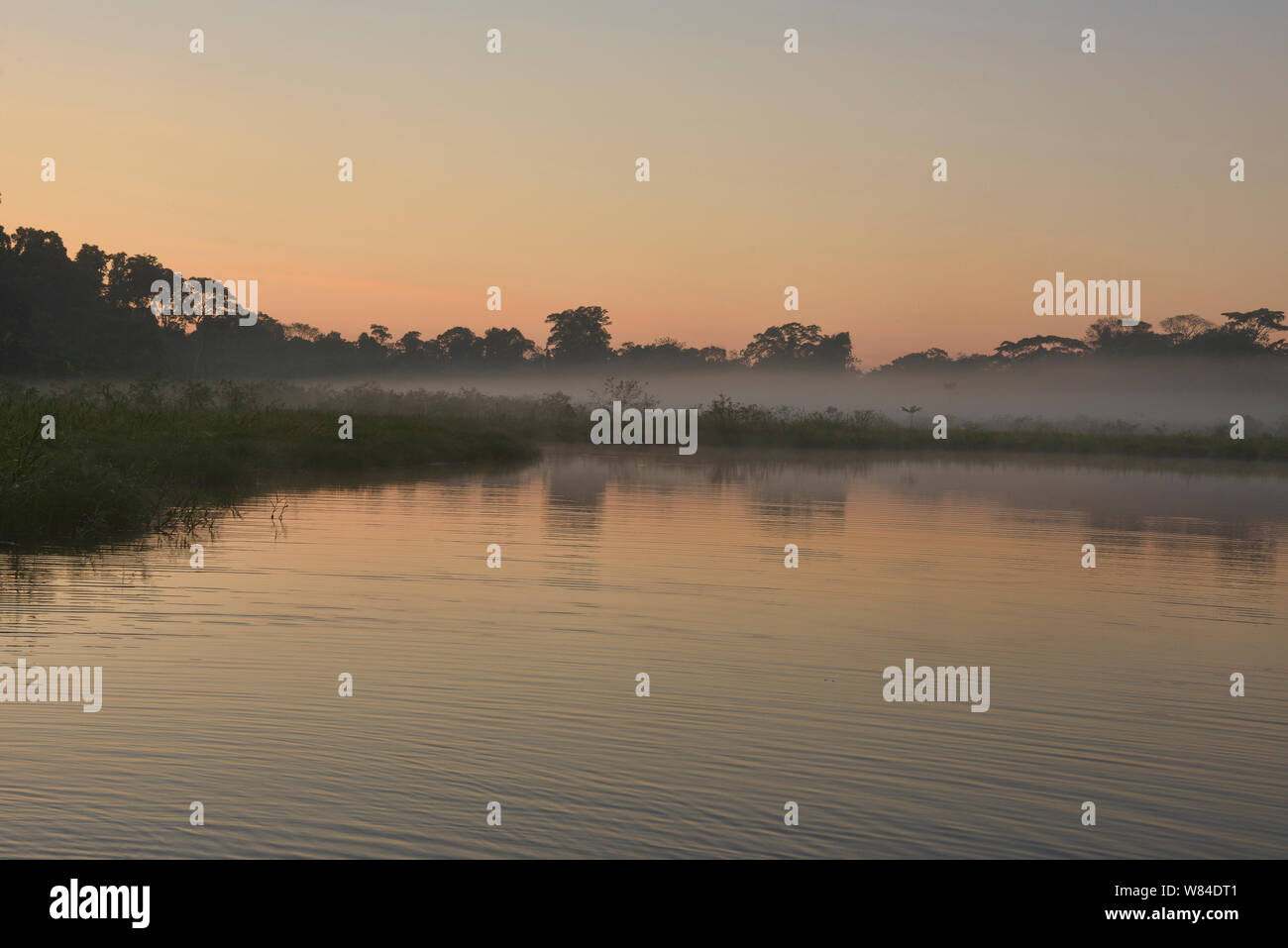 Lake Chimbadas at sunrise, Tambopata National Reserve, Peruvian Amazon Stock Photo