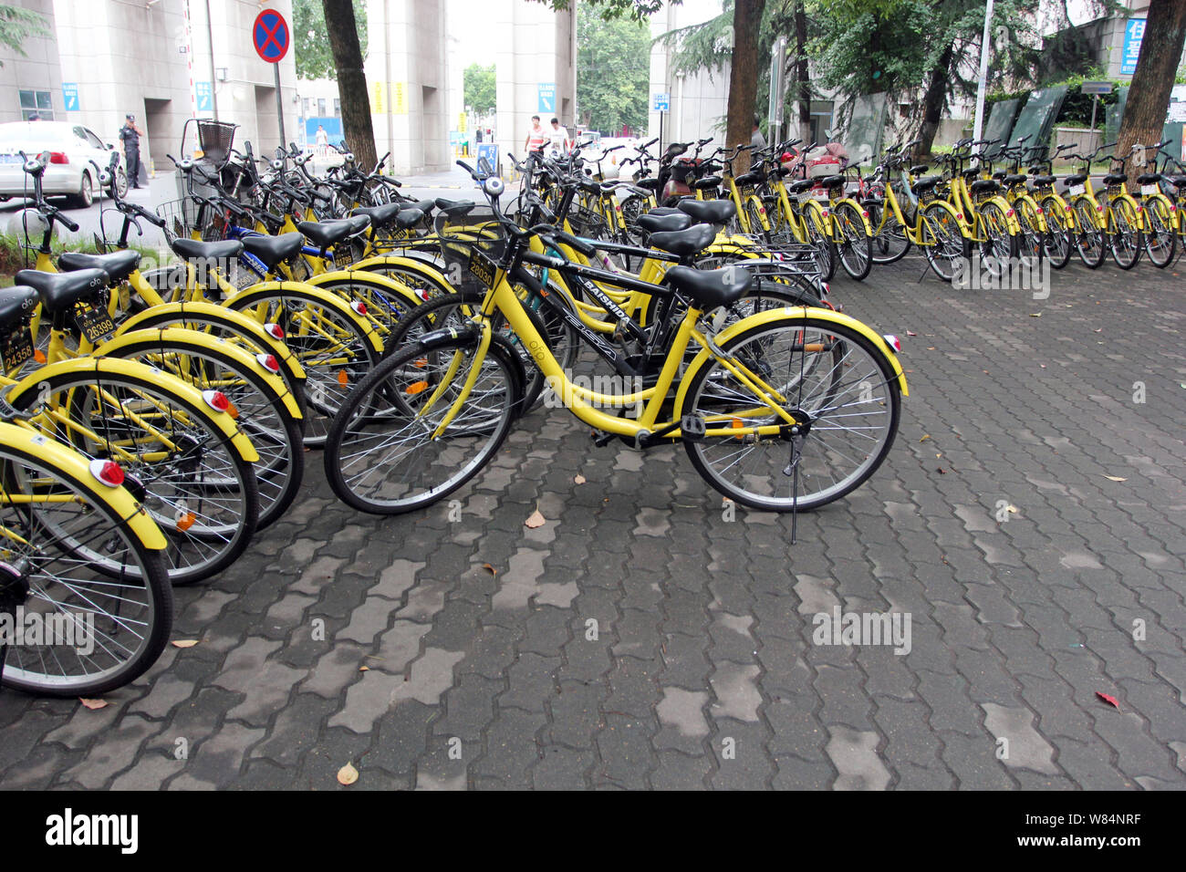 ofo customer service