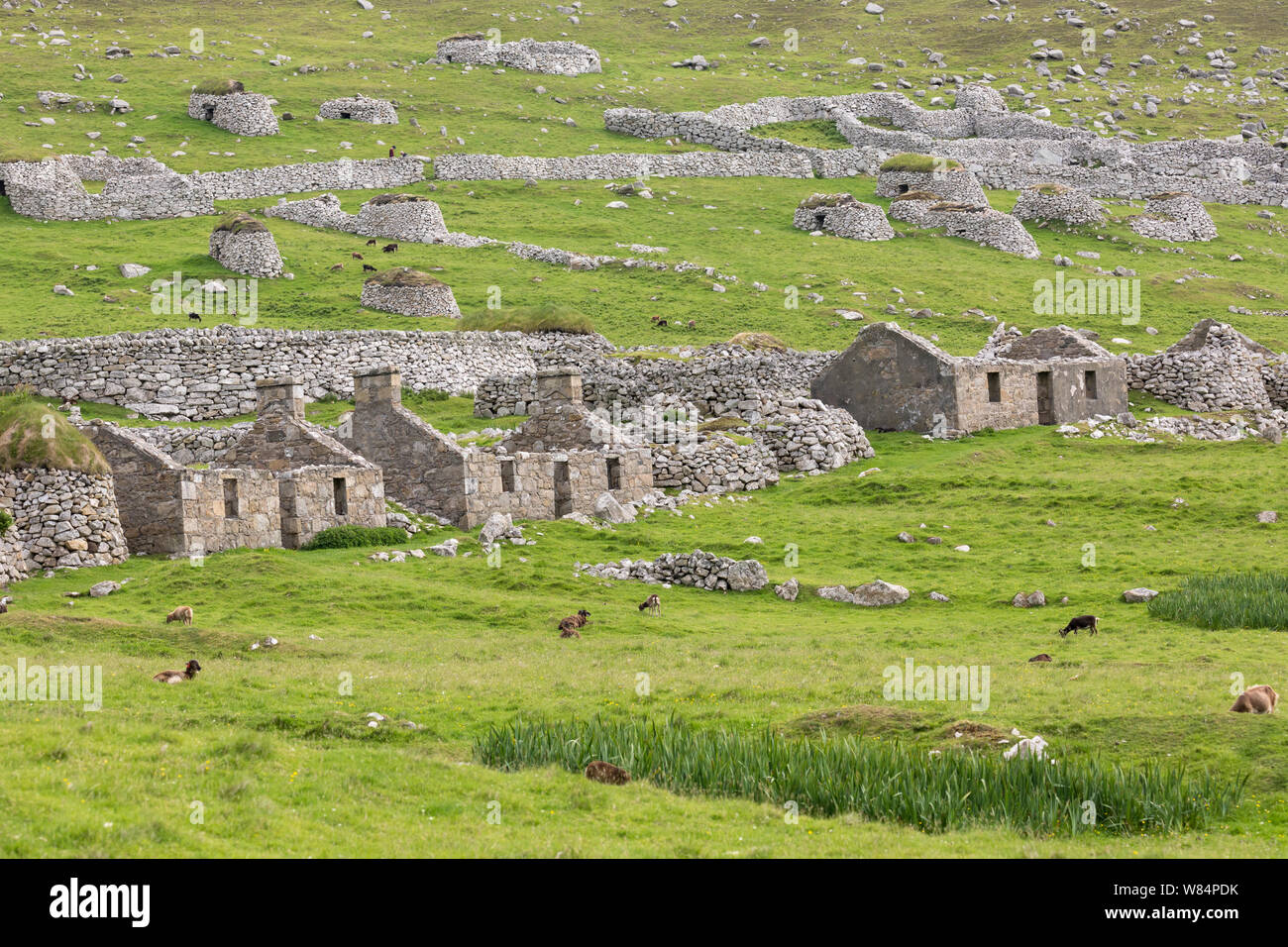 Abandoned houses on Hirta, St. Kilda Stock Photo Alamy