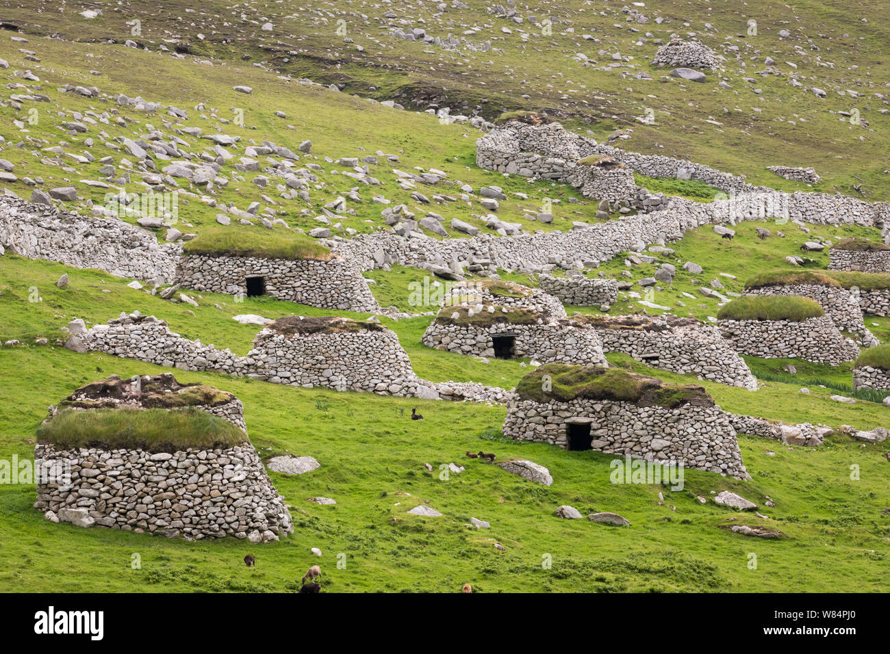 Abandoned cleits on Hirta, St. Kilda Stock Photo Alamy