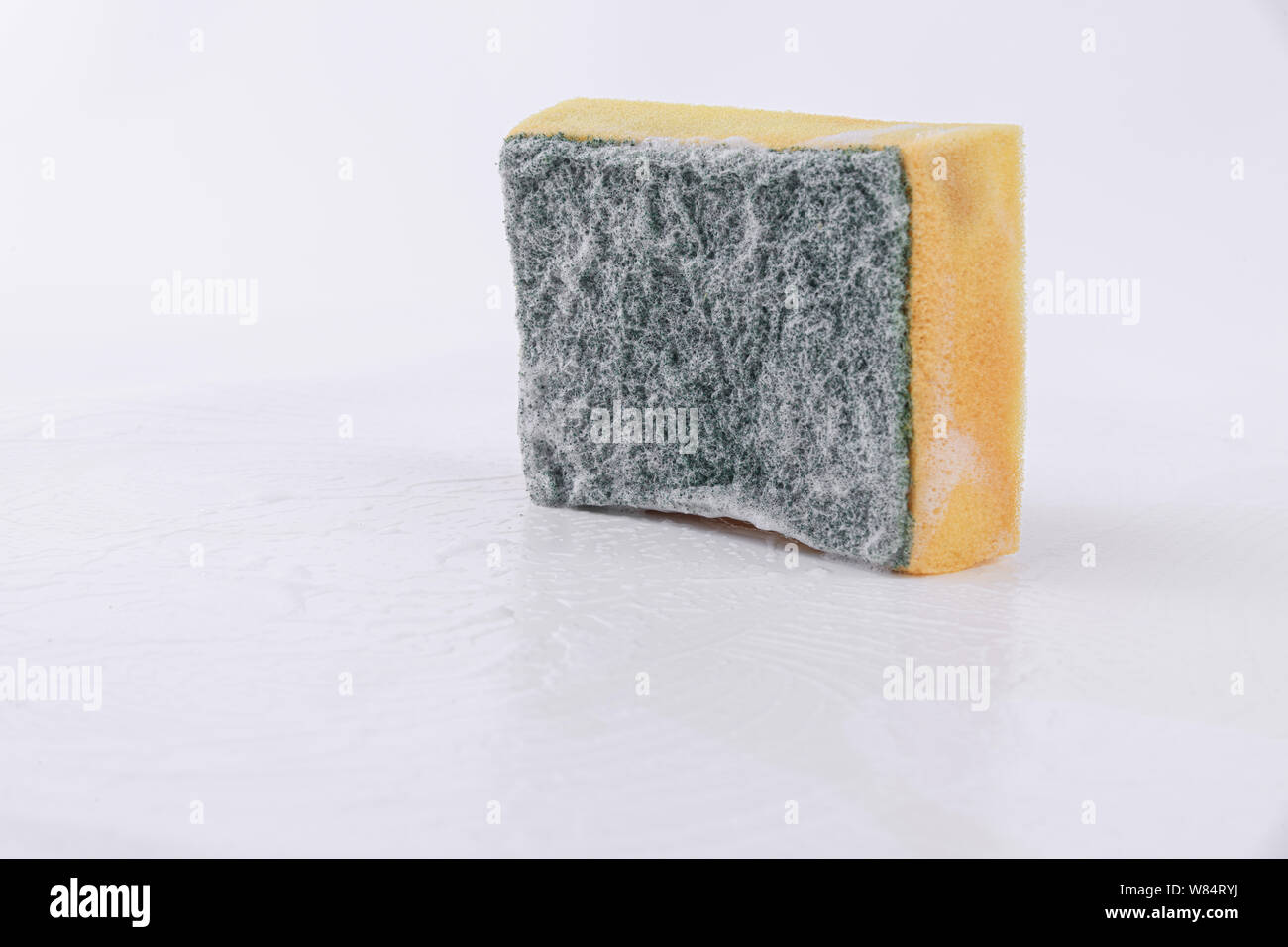 Dish-washing sponge isolate on white background - Cleaning house Stock Photo