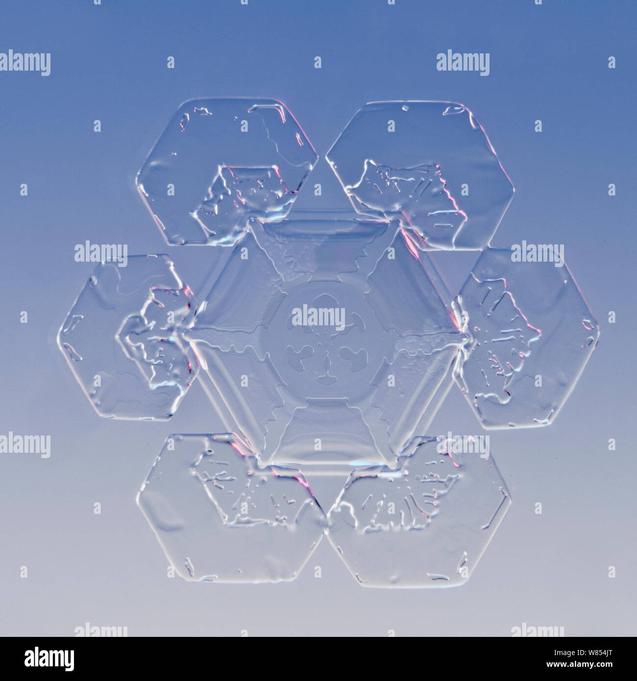 Snowflake Magnified Under Microscope High Resolution Stock Photography ...