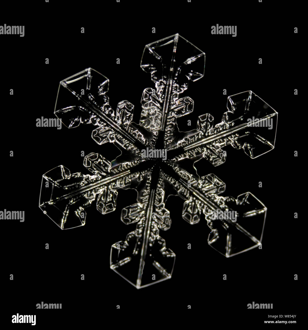 Snowflake magnified under microscope, Lilehammer, Norway Stock Photo