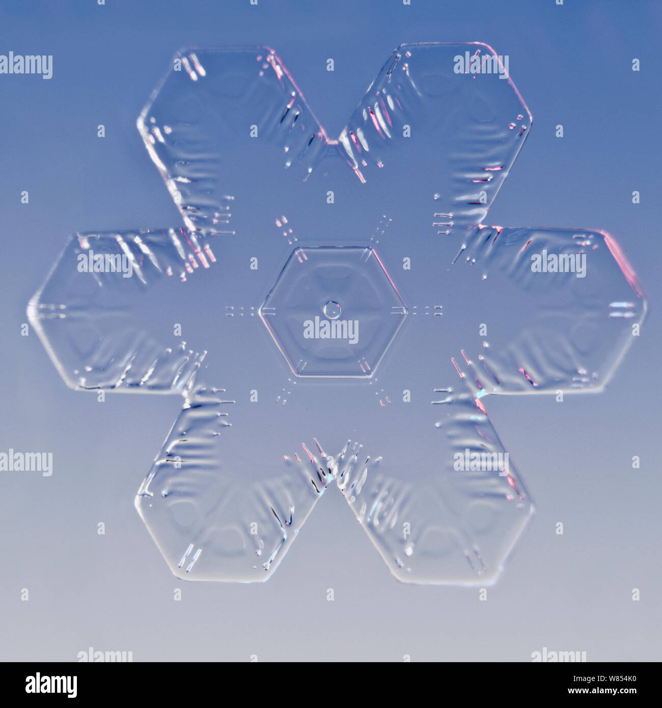 Snowflake magnified under microscope, Lilehammer, Norway Stock Photo ...