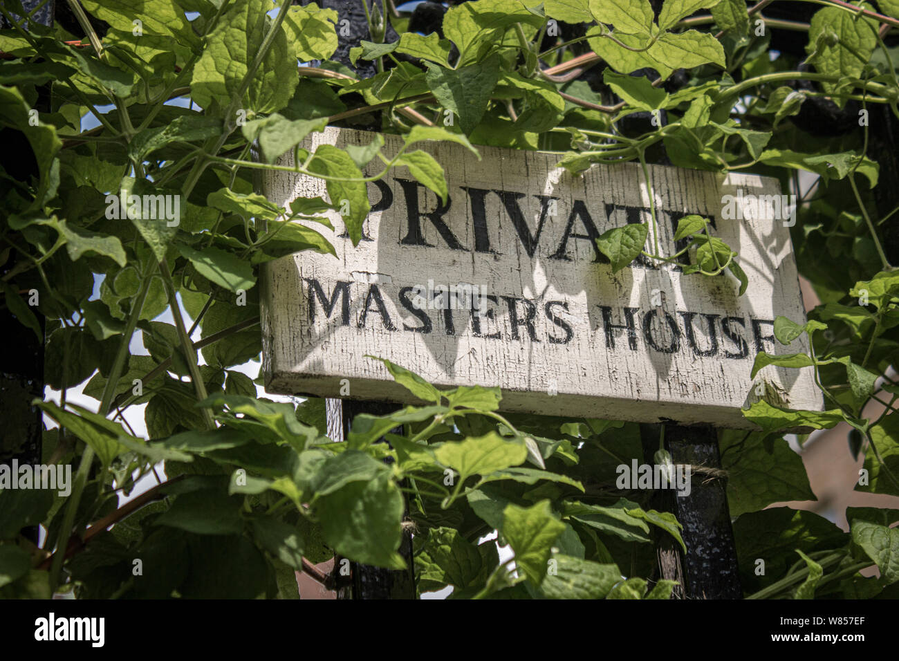 Climbing plants concept hires stock photography and images Alamy