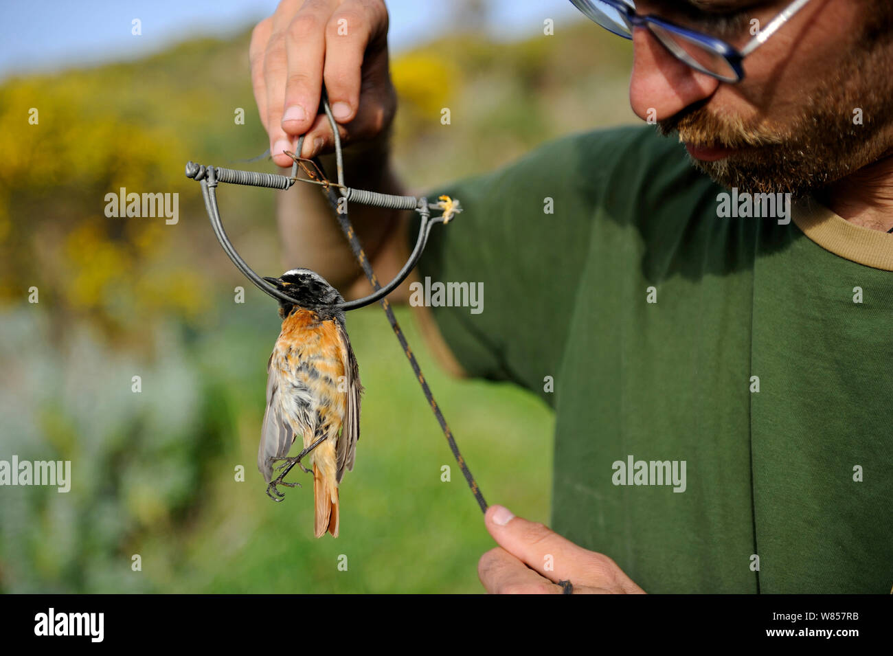Illegal activist hi-res stock photography and images - Alamy