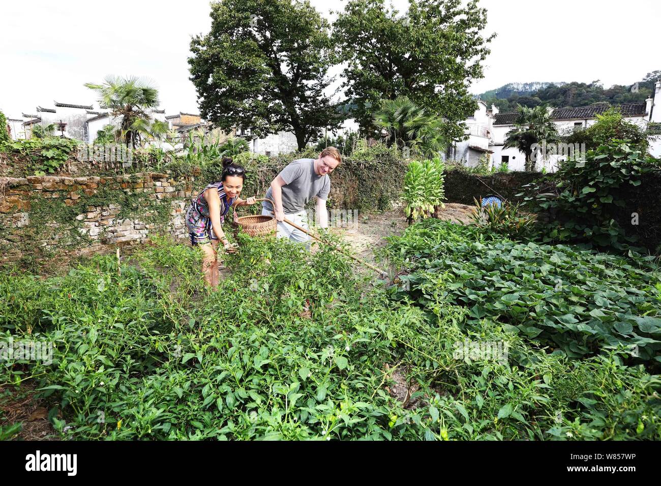 British man Edward Gawne, right, and his Chinese fiancee Liao Minxin work in their vegetable garden in Sixi Village, Wuyuan county, Shangrao city, eas Stock Photo