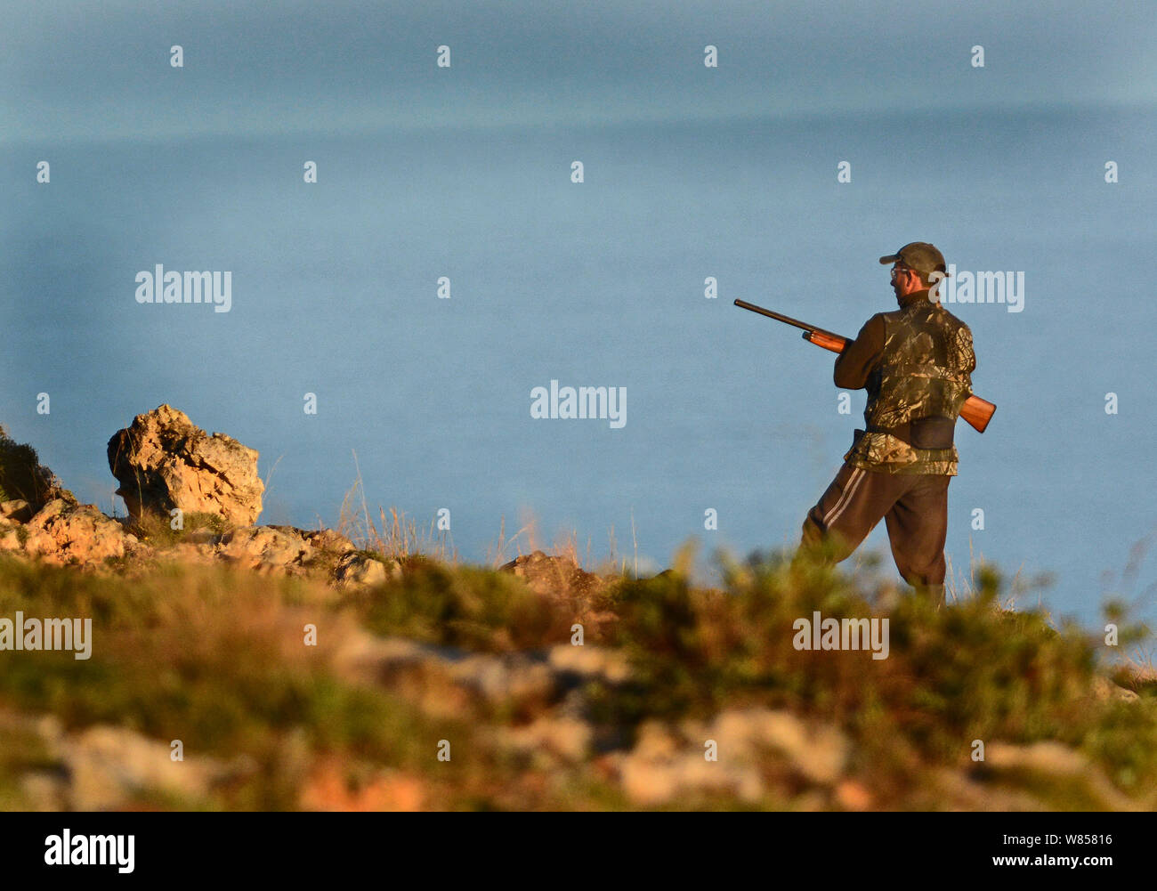 Hunter on hillside soon after dawn during spring migrations and BirdLife Malta Springwatch Camp 2013, Malta,  April 2013. EDITORIAL USE ONLY. Stock Photo