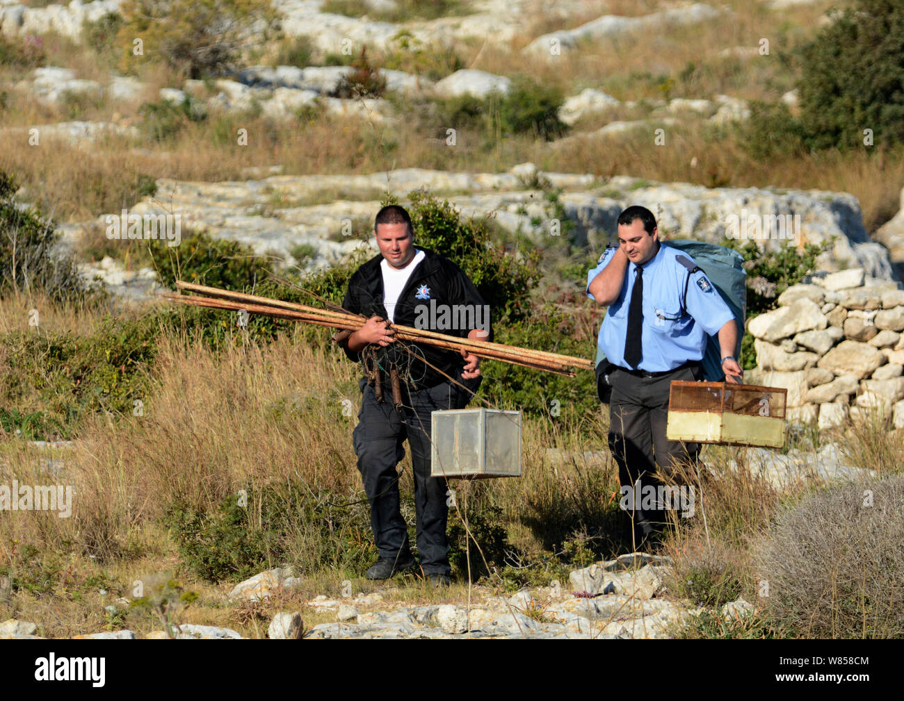 ALE (Administrative Law Enforcement) Police with confiscated turtle doves (Streptopelia turtur) and equipment from dove trapping area, Malta, during Birdlife Malta Springwatch Camp, April 2013 Stock Photo