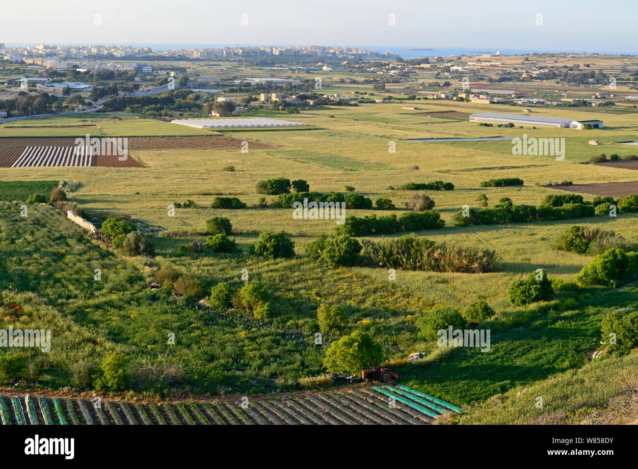 View across agricultural landscape from the Victoria Lines towards St Pauls, during BirdLife Malta Springwatch Camp, Malta, April 2013 Stock Photo