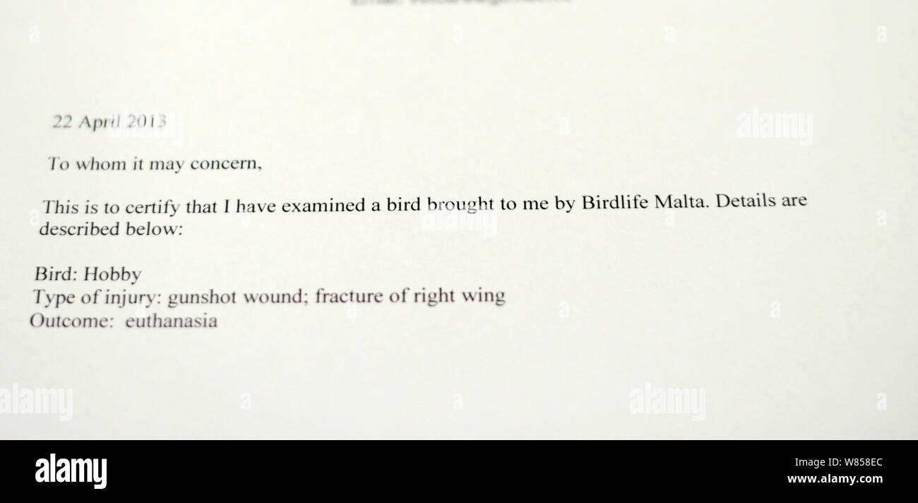 Letter from vet certifying inspection of illegally shot Hobby (Falco ...