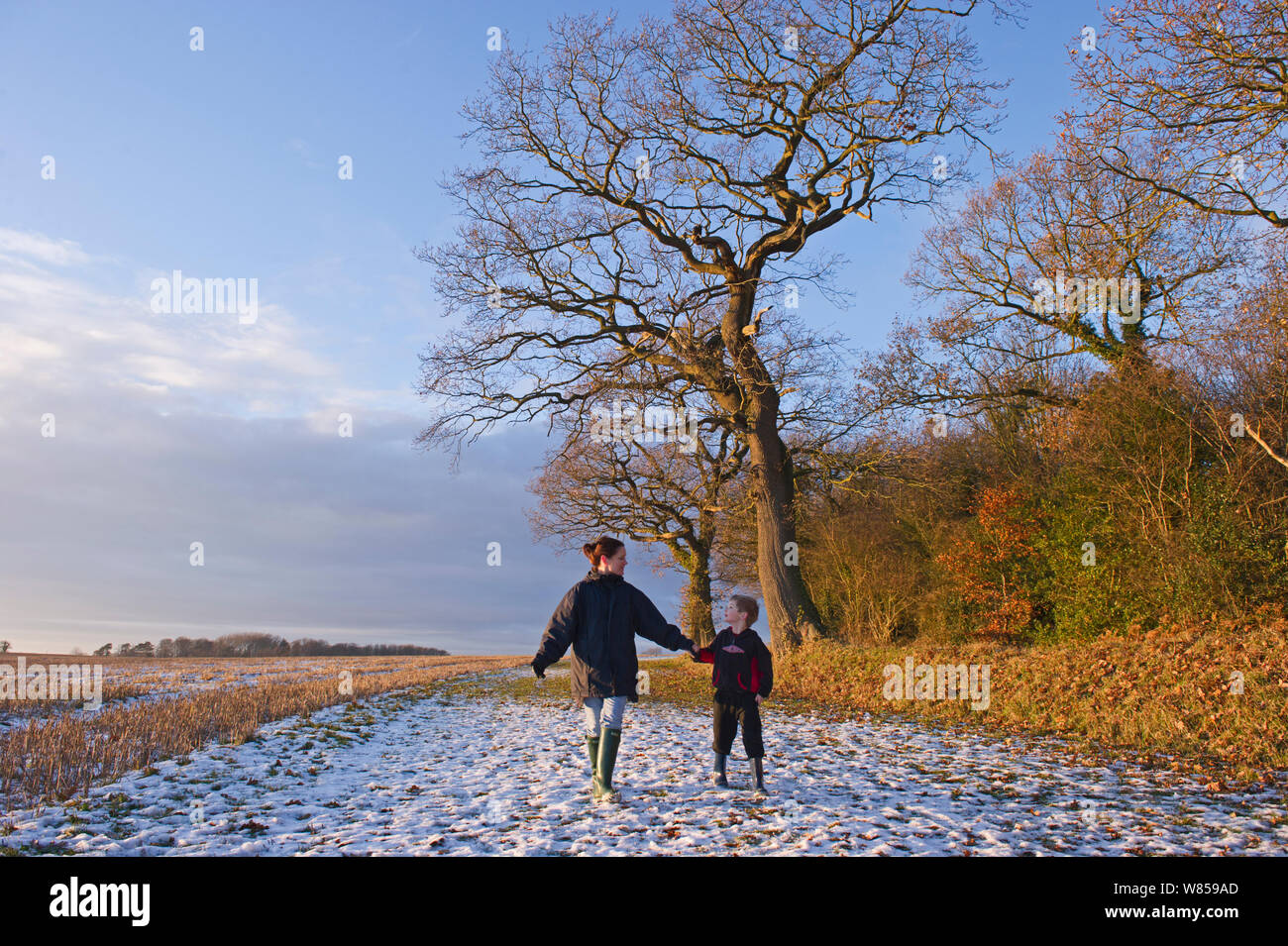 Mother and son walking in snow Norfolk, December 2010. Model released. Stock Photo