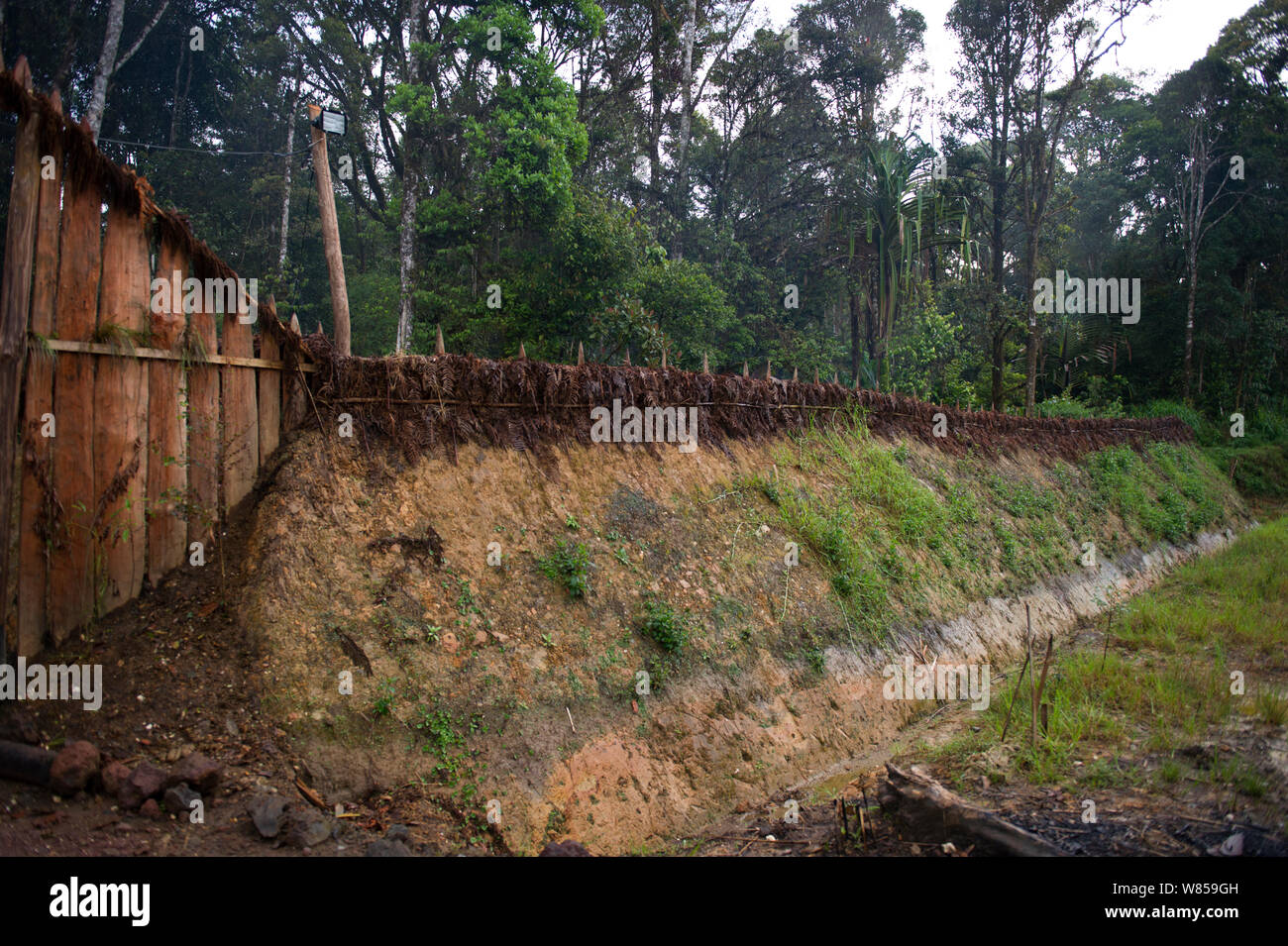 Fortification, moat and stakes around habitation in Tari Valley, Southern Highlands, Papua New Guinea Stock Photo