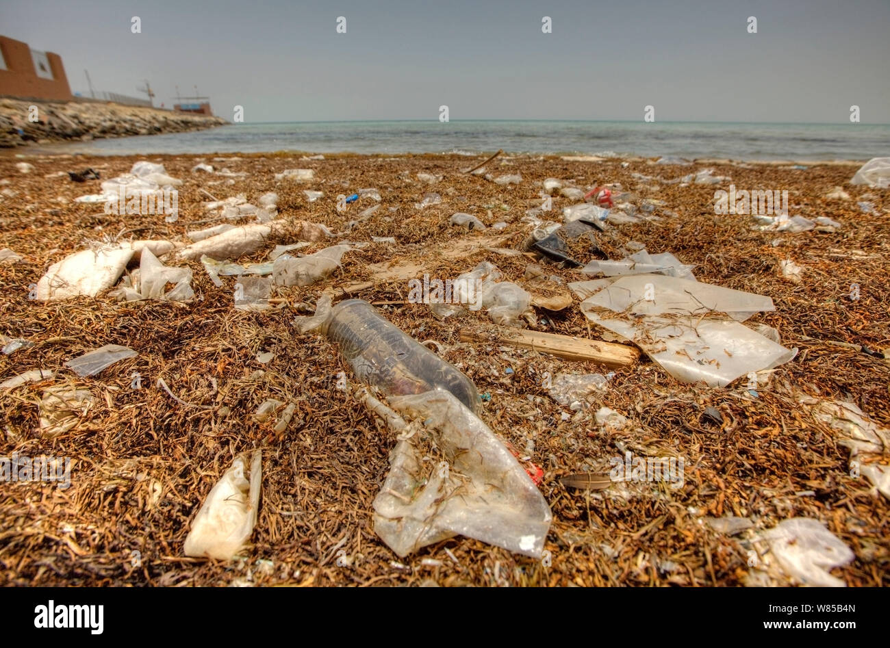 Plastic pollution at Al Jazayer Beach, Bahrain. All non-editorial uses must be cleared individually. Stock Photo