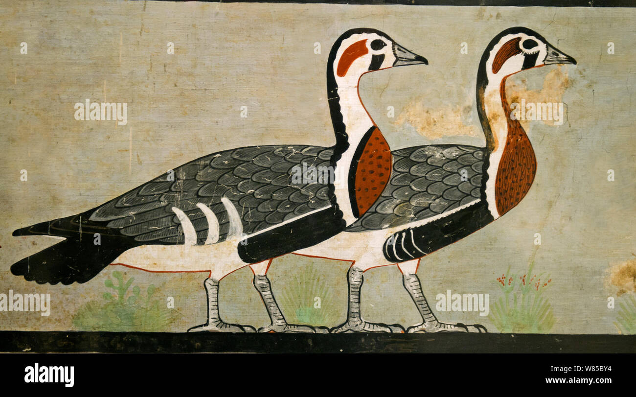 Ancient Egyptian painted stucco of Red-breasted Geese (Branta ...