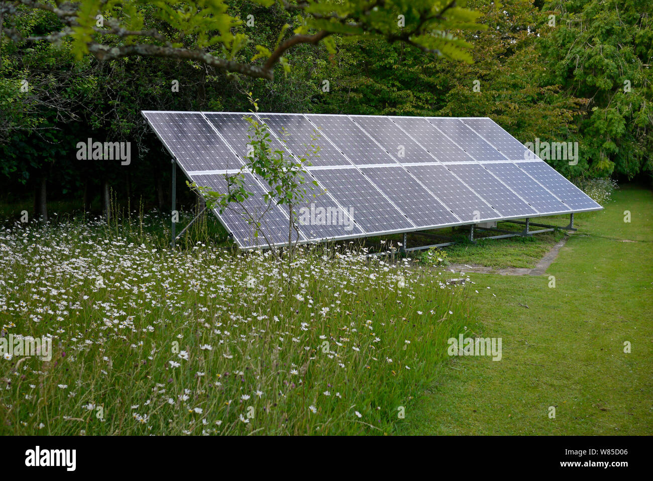 Photo voltaic solar panels set in garden, Sussex, England, UK, June. Stock Photo