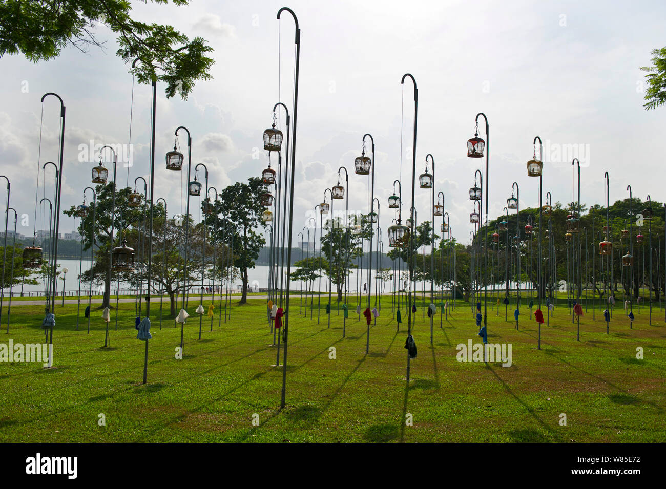 Cages of Peaceful Doves (Geopelia placida) on tall posts, Bedok Park, Singapore, July 2011. Stock Photo