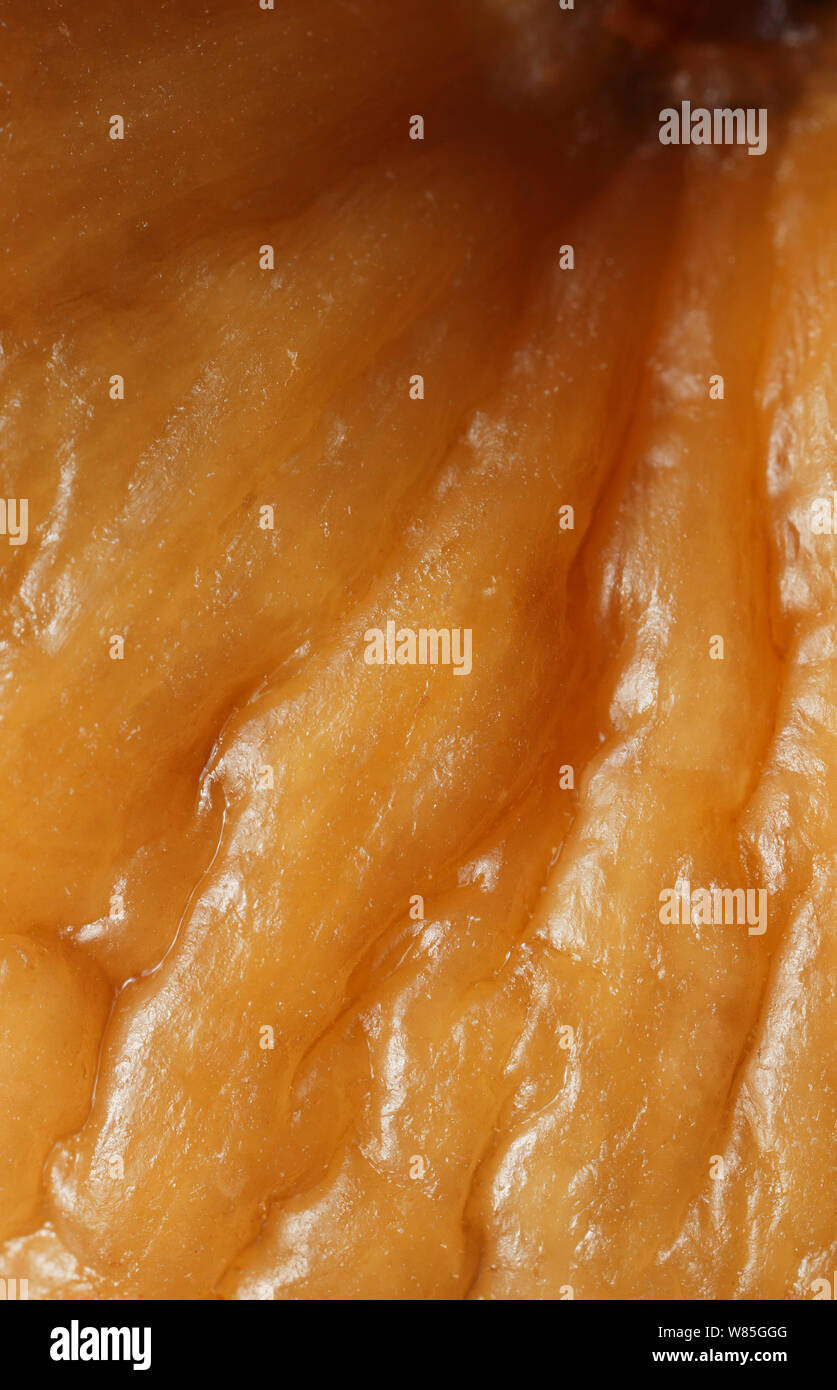 Close up of the inside of a fig fruit (Ficus), UK. Stock Photo