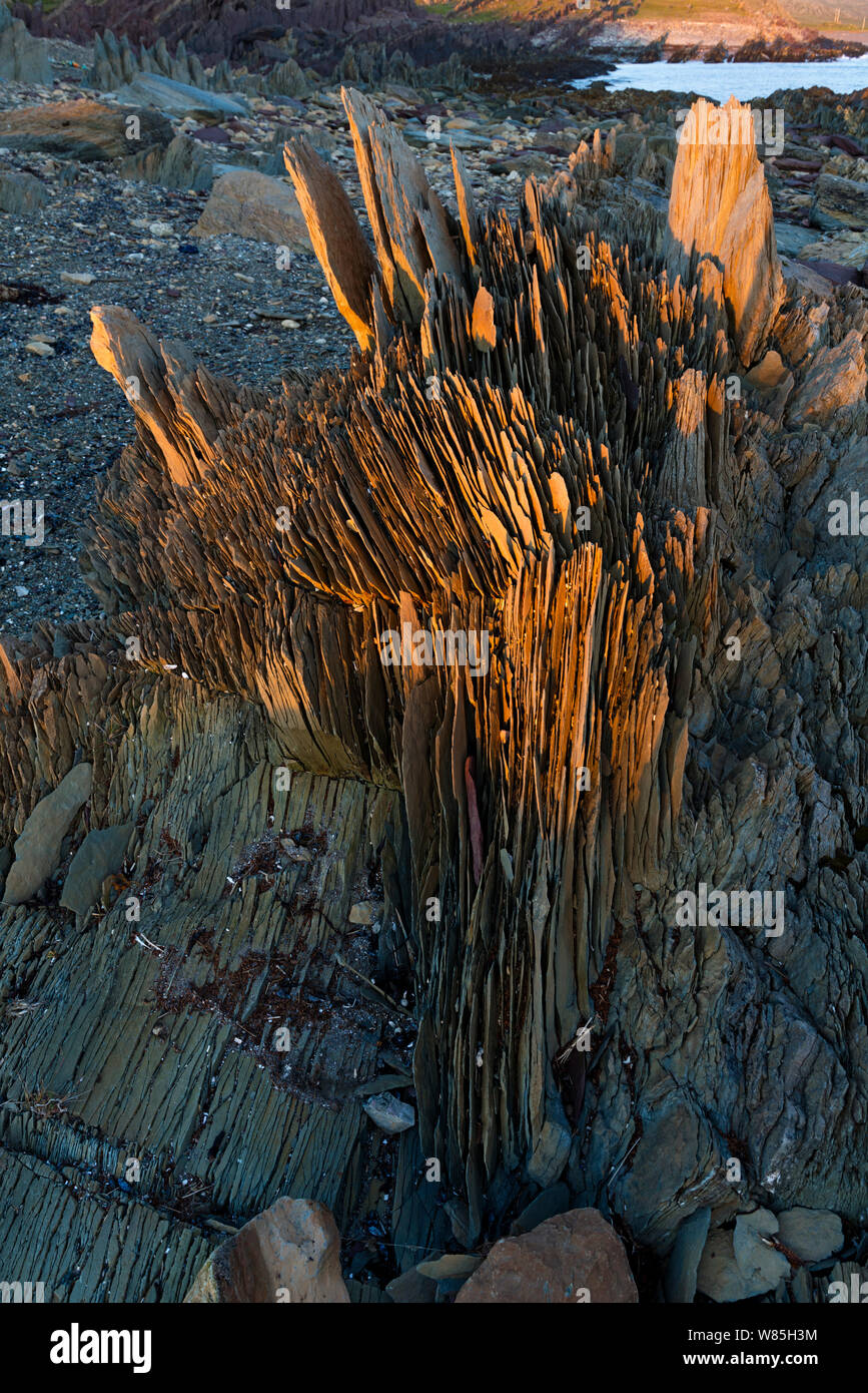 Sedimentary rocks split up on coast, Vardo, Varanger, Finnmark, Norway ...
