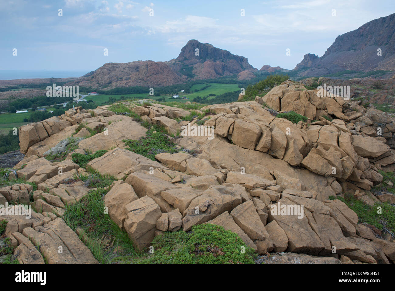 Landscape of Serpentine rocks on the island of Leka, Norway, August 2014. Stock Photo