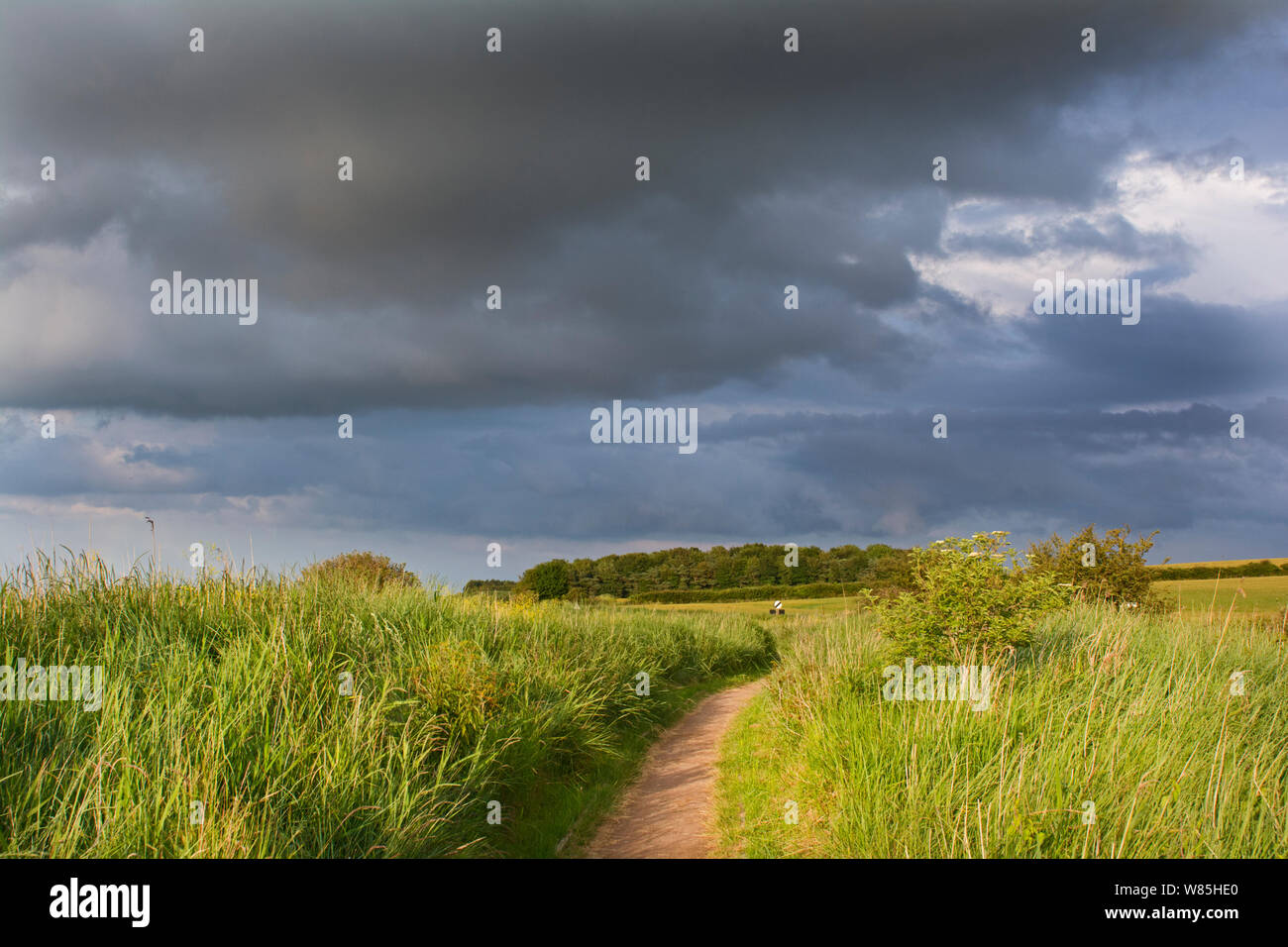 Cloudy sky over Cley Marshes, Norfolk Wildlife Trust Reserve, Norfolk, UK, June 2014. Stock Photo