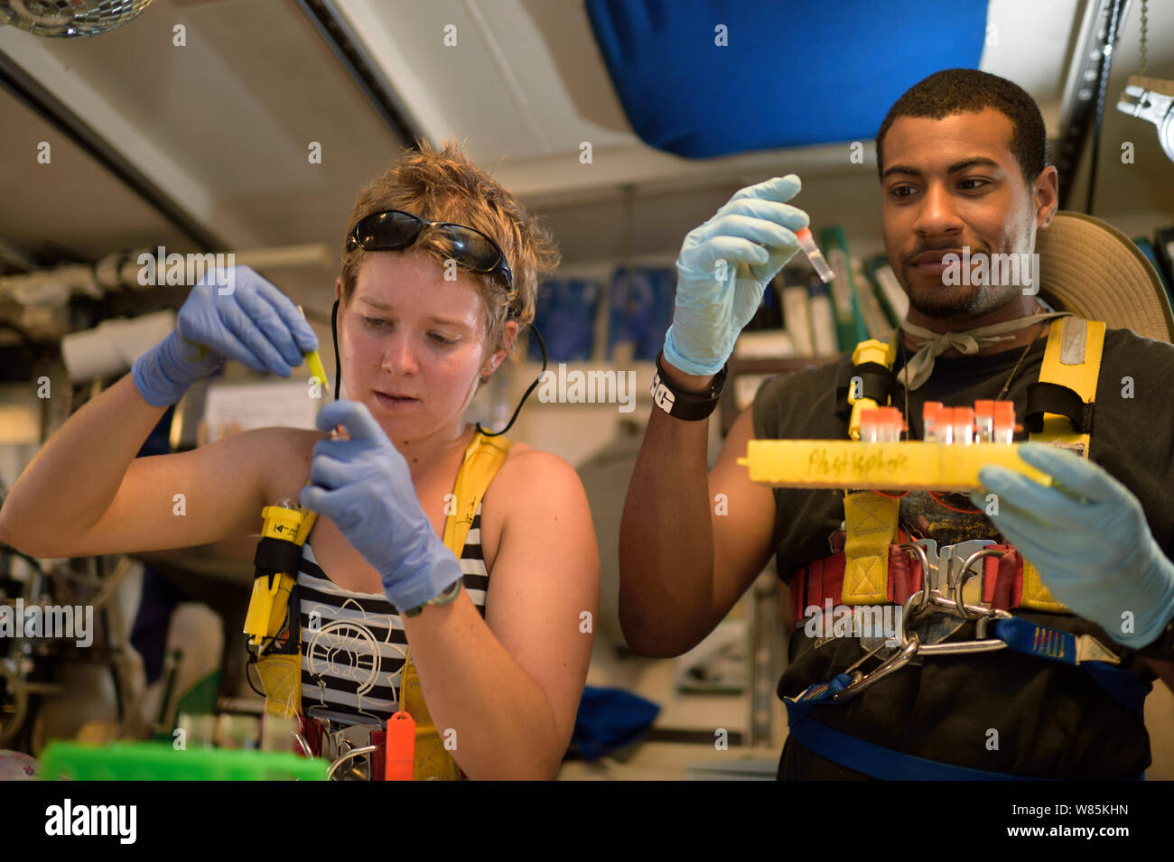 Students investigating micro plastics in marine samples, in the lab of the tall ship Corwith Cramer. Sargasso Sea, Bermuda. April 2014. Stock Photo
