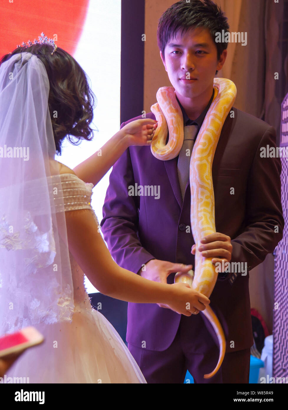 Python on my neck hi-res stock photography and images - Alamy