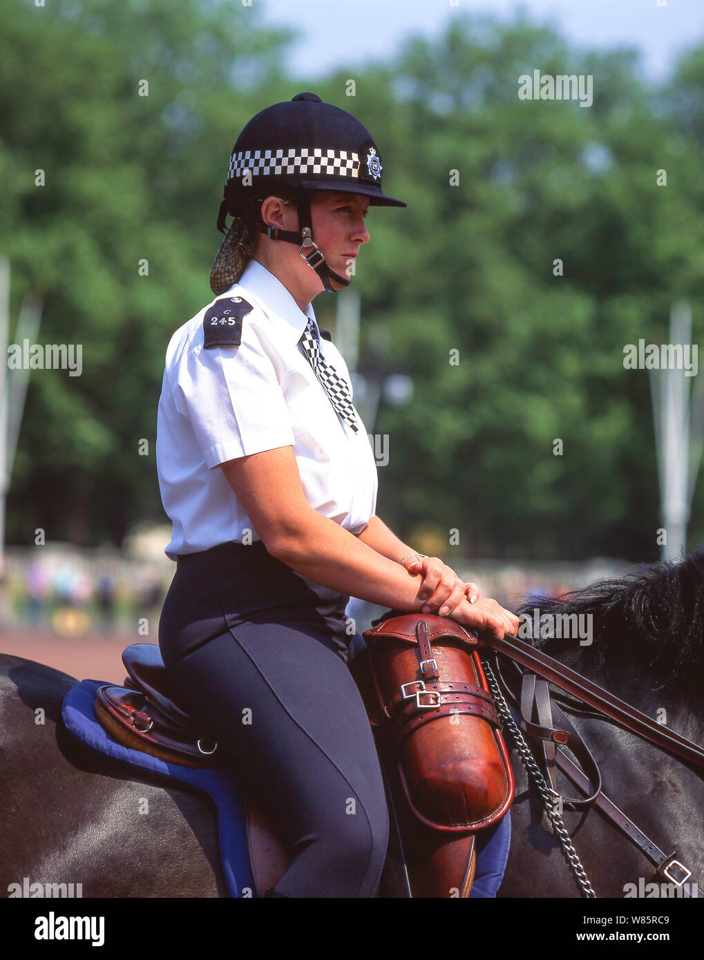 Mounted Metropolitan female police officer, Horse Guards parade, Whitehall, City of Westminster, Greater London, England, United Kingdom Stock Photo