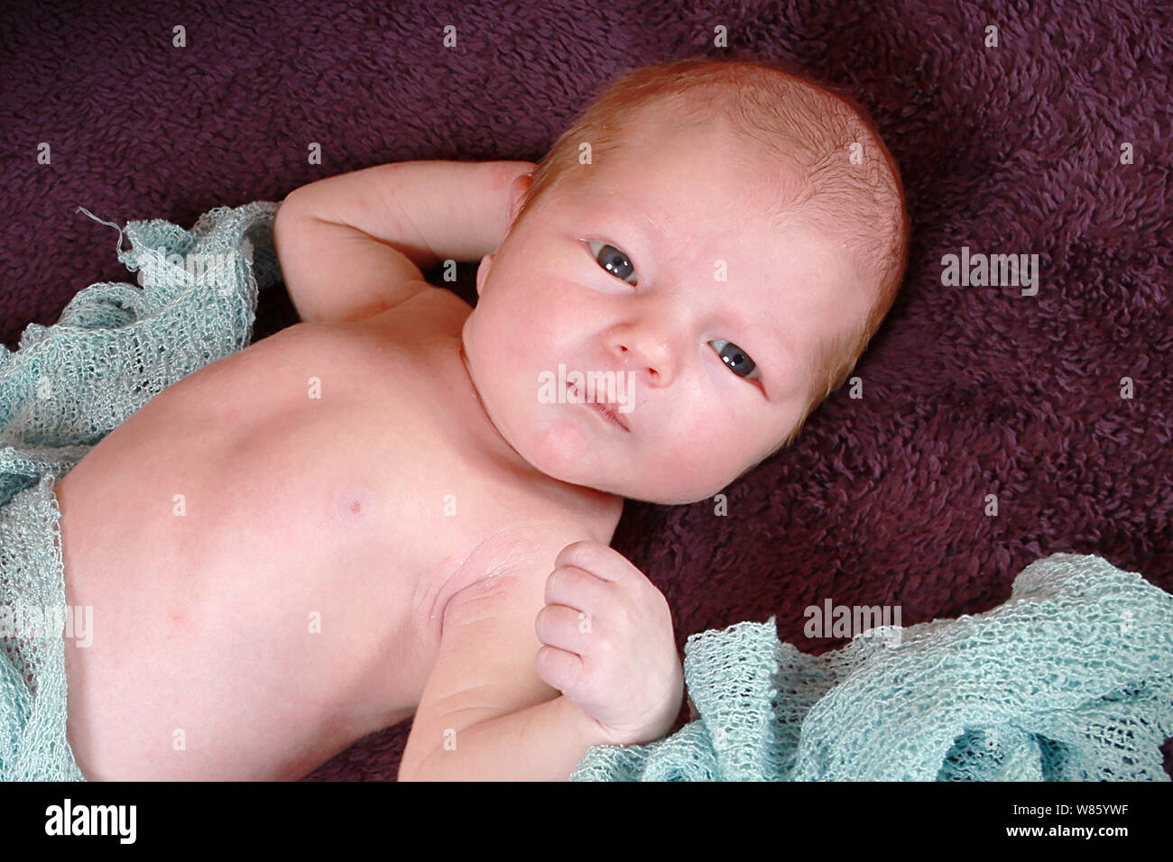1 week old baby boy Stock Photo