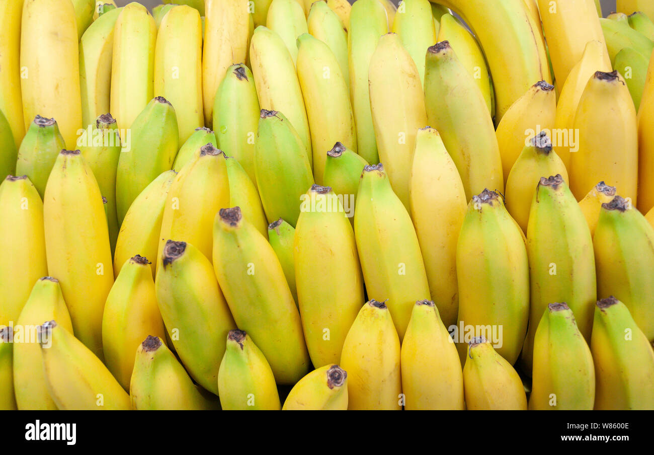 Loose bananas in Tesco supermarket, Ashford, Surrey, England, United Kingdom Stock Photo